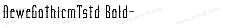 NeweGothicmTstd Bold字体转换
